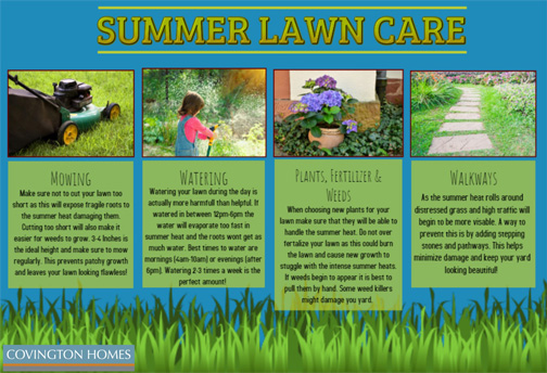 summer lawn care